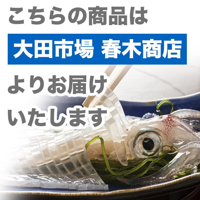 北海道産 天然活ホッキ貝 約5kg 15〜20個 【長万部】