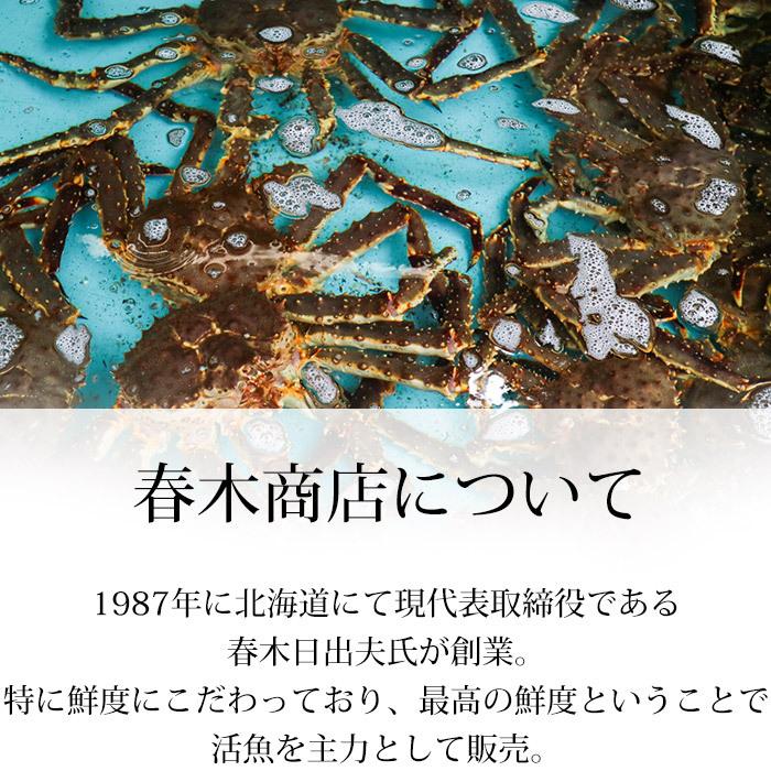 かに 北海道産 天然活タラバガニ 約3kg〜3.5kg 1杯 爆買 : 産直