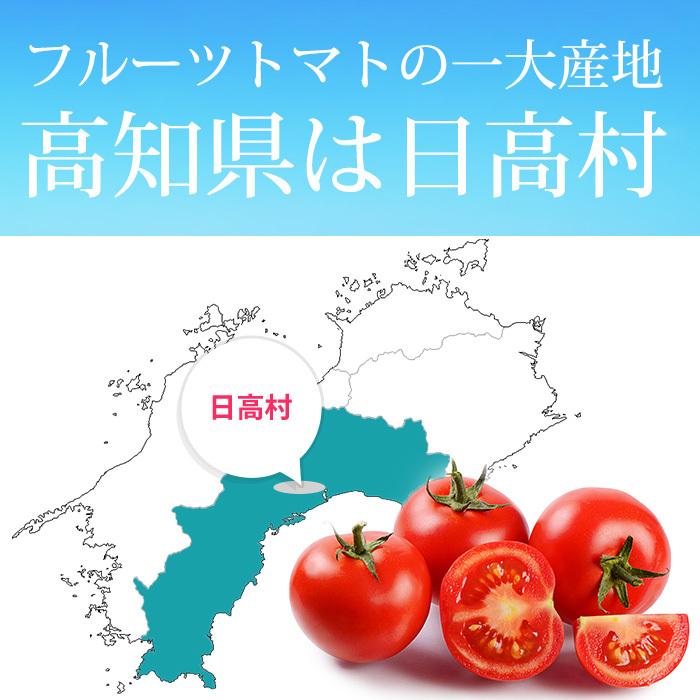 トマト ビアンコ08 高知県産 シュガートマト 約800g 8〜16個 爆買