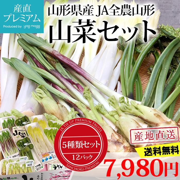【GINGER掲載商品】 最大74％オフ 山菜 やまがたの山菜セット 5種類 12パック 山形県産 lauriewrightauthor.com lauriewrightauthor.com