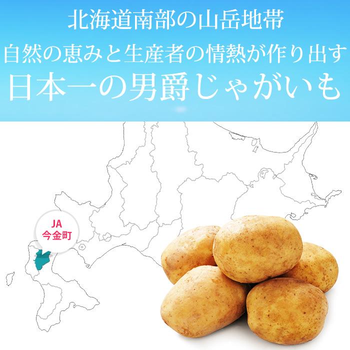 じゃがいも 今金男爵 北海道産 約5kg M/Lサイズ 約45個 : 産直