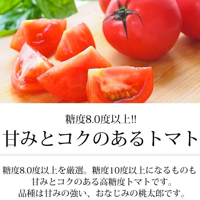 boo　高糖度フルーツトマト訳あり8キロ トマト 高糖度 【 訳あり 】トマト ルビーのしずく 約1.2kg 大島トマト