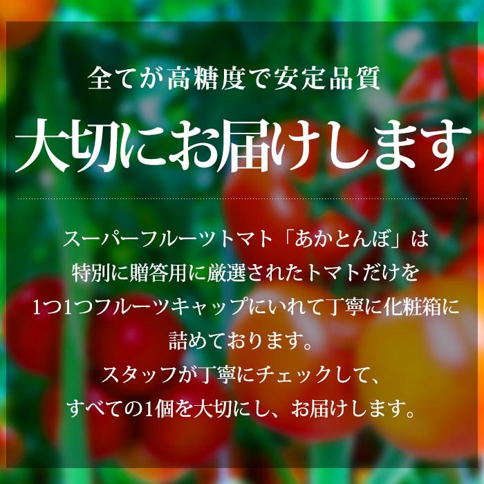 高糖度フルーツトマト 茨城県産 スーパーフルーツトマト 筑波のあかとんぼ 約1kg 8〜16玉｜yogmogg｜02