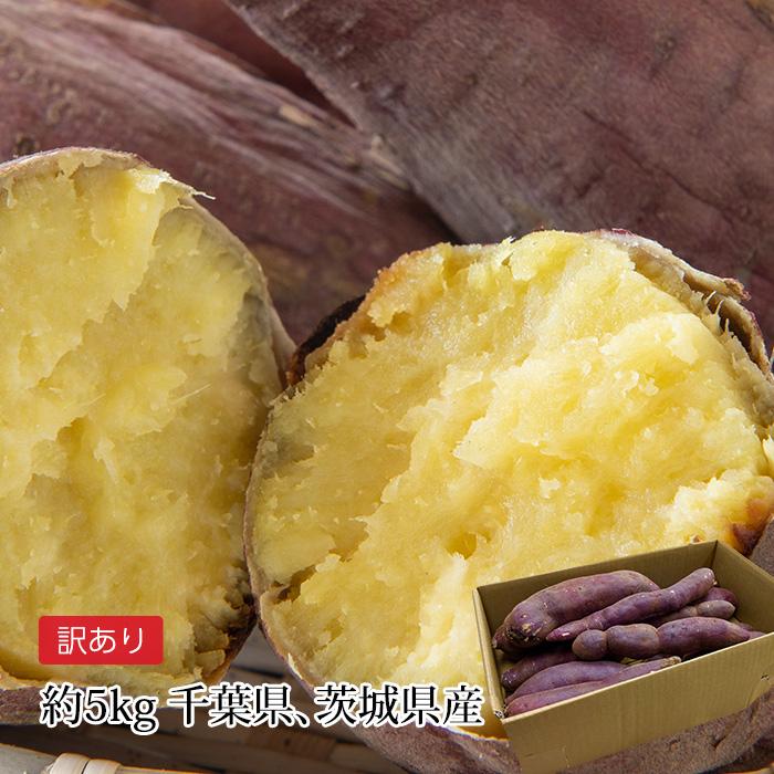 さつまいも 千葉県・茨城県産 訳あり C品 約5kg サイズおまかせ さつまいも 千葉県・茨城県産 訳あり C品 約5kg サイズおまかせ