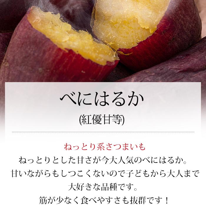 さつまいも 千葉県・茨城県産 訳あり C品 約5kg サイズおまかせ さつまいも 千葉県・茨城県産 訳あり C品 約5kg サイズおまかせ
