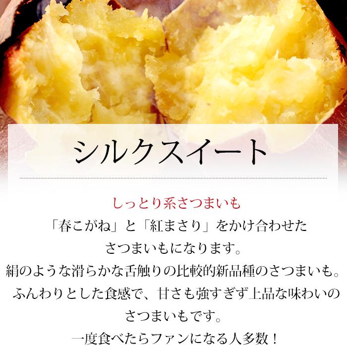 さつまいも 千葉県・茨城県産 訳あり C品 約5kg サイズおまかせ さつまいも 千葉県・茨城県産 訳あり C品 約5kg サイズおまかせ