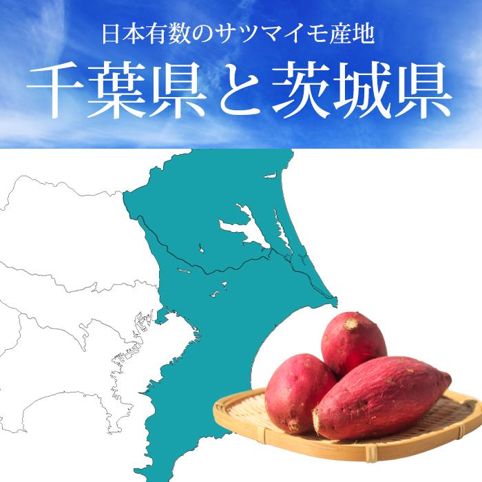 2箱以上ご購入で1,000円OFF さつまいも 千葉県・茨城県産 訳あり C品