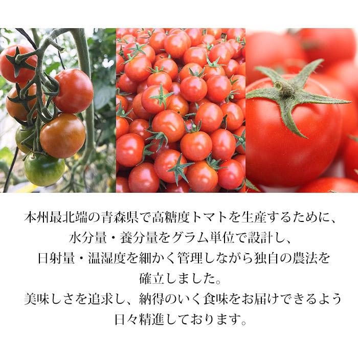 トマト 青森県産 ミニトマト メジャーノトマト 約700g ギフトボックス