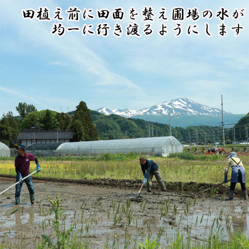 はえぬき 早期新米予約 令和8年9月下旬以降順次発送開始 玄米 30kg