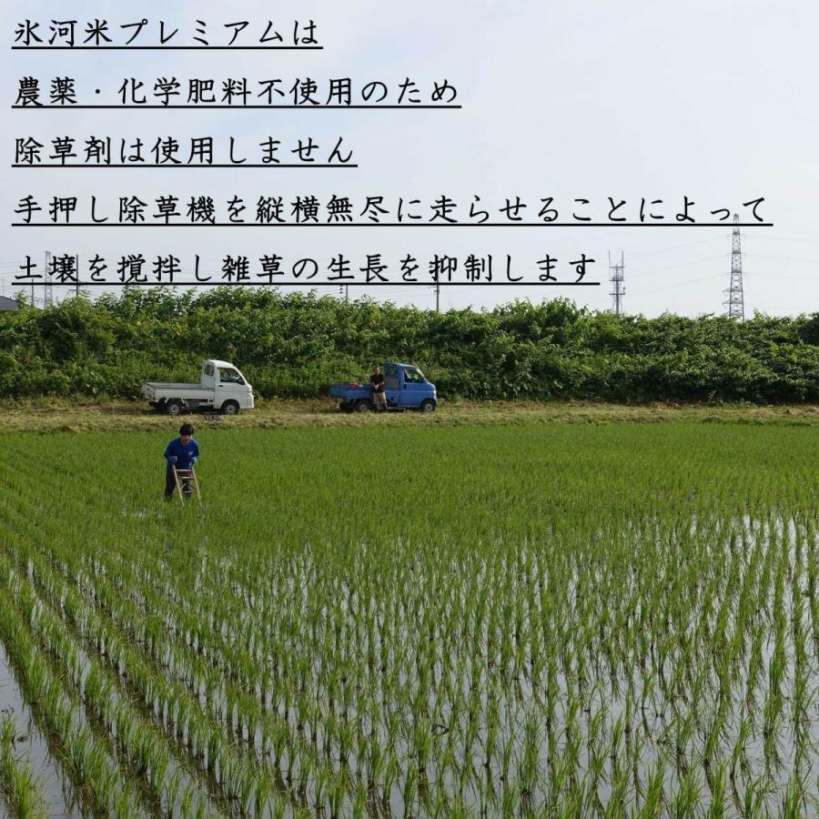 米 お米 2kg 玄米 はえぬき 氷河米 農薬・化学肥料不使用 令和3年産 山形 庄内 :1hapg2:与五郎ライスサポート - 通販 -  Yahoo!ショッピング