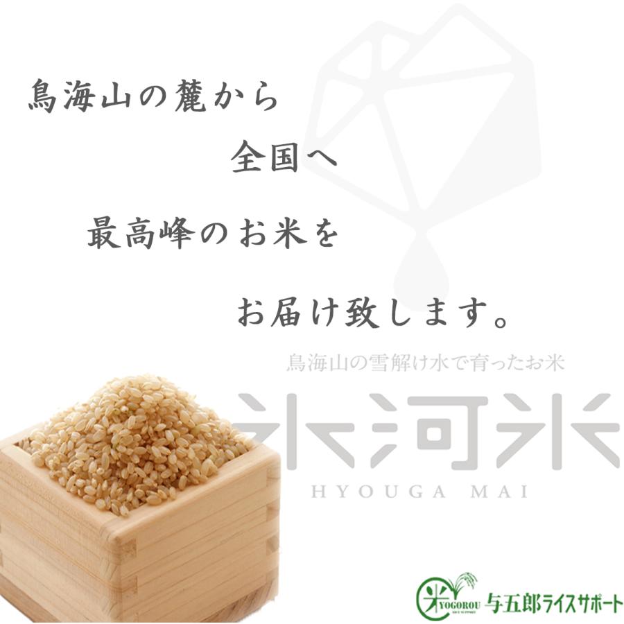 米 はえぬき 玄米 5kg 送料無料 高級 希少 化学肥料・農薬不使用 山形県産 Aランク 令和5年産 美味しいお米 氷河米プレミアム 山形 庄内 農家直送 健康 腸活｜yogorou｜15