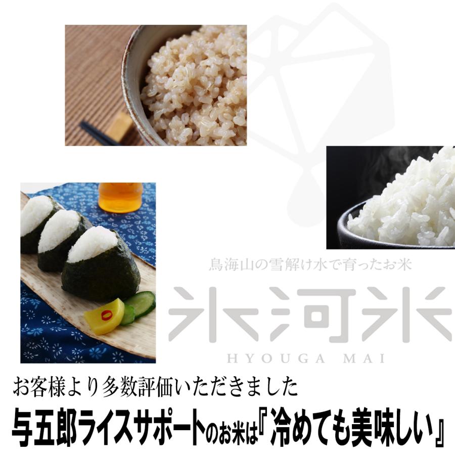 米 はえぬき 玄米 5kg 送料無料 高級 希少 化学肥料・農薬不使用 山形県産 Aランク 令和5年産 美味しいお米 氷河米プレミアム 山形 庄内 農家直送 健康 腸活｜yogorou｜08