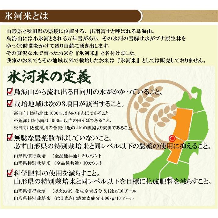 米5kg 送料無 ミルキークイーン 玄米 5kg / 10kg 令和7年産 特別栽培米 氷河米 山形 庄内 農家直送 1mig 5キロ 10キロ_4
