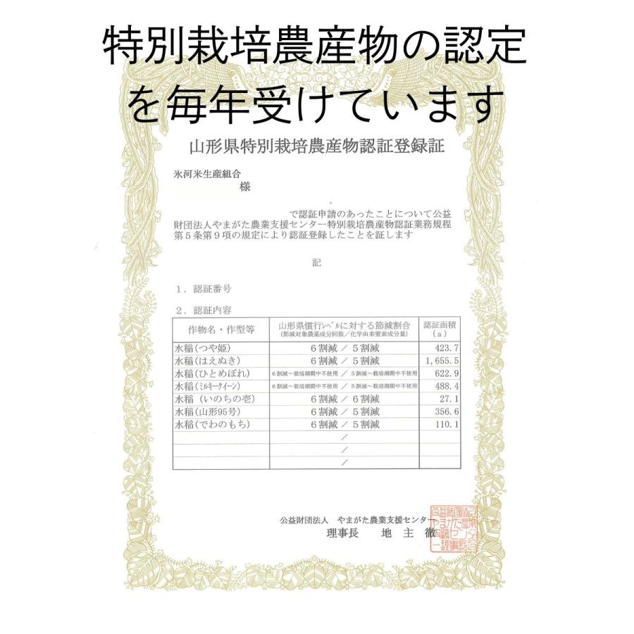 米5kg 送料無 ミルキークイーン 玄米 5kg / 10kg 令和7年産 特別栽培米 氷河米 山形 庄内 農家直送 1mig 5キロ 10キロ_5