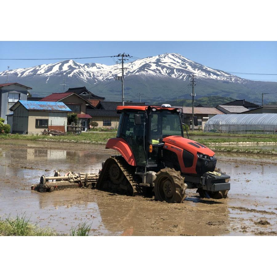 米5kg 送料無 ミルキークイーン 玄米 5kg / 10kg 令和7年産 特別栽培米 氷河米 山形 庄内 農家直送 1mig 5キロ 10キロ_8
