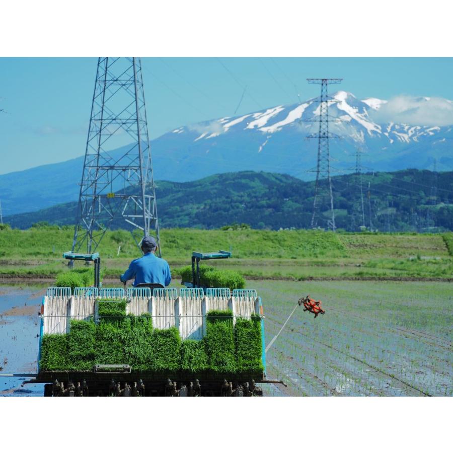 米5kg 送料無 ミルキークイーン 玄米 5kg / 10kg 令和7年産 特別栽培米 氷河米 山形 庄内 農家直送 1mig 5キロ 10キロ_9