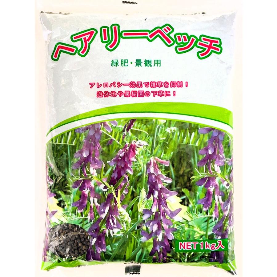 ヘアリーベッチ　品種指定なし　1kg　緑肥・景観・ハチミツ取りに　緑肥の種（Yahoo!・タネの問屋さん養本社）
