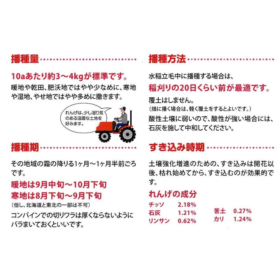 レンゲ種子 80kg(20kg×4箱)送料無料 緑肥の種|yohonsha-japan|04