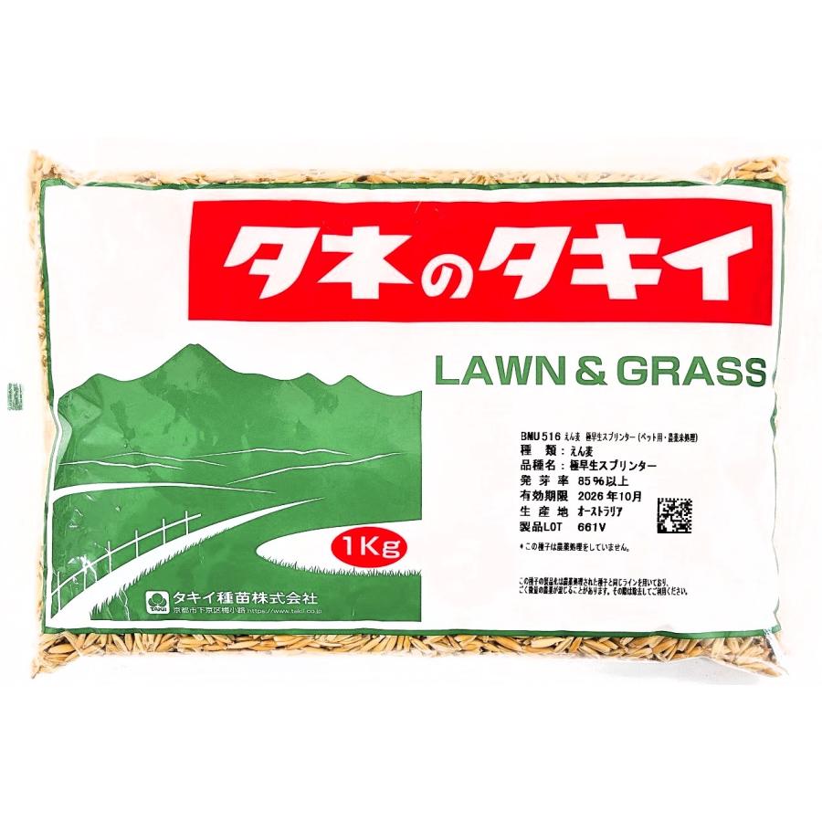 えん麦種子 品種：極早生スプリンター（ペット用・農薬未処理）1kg　牧草の種（Yahoo!・タネの問屋さん養本社）