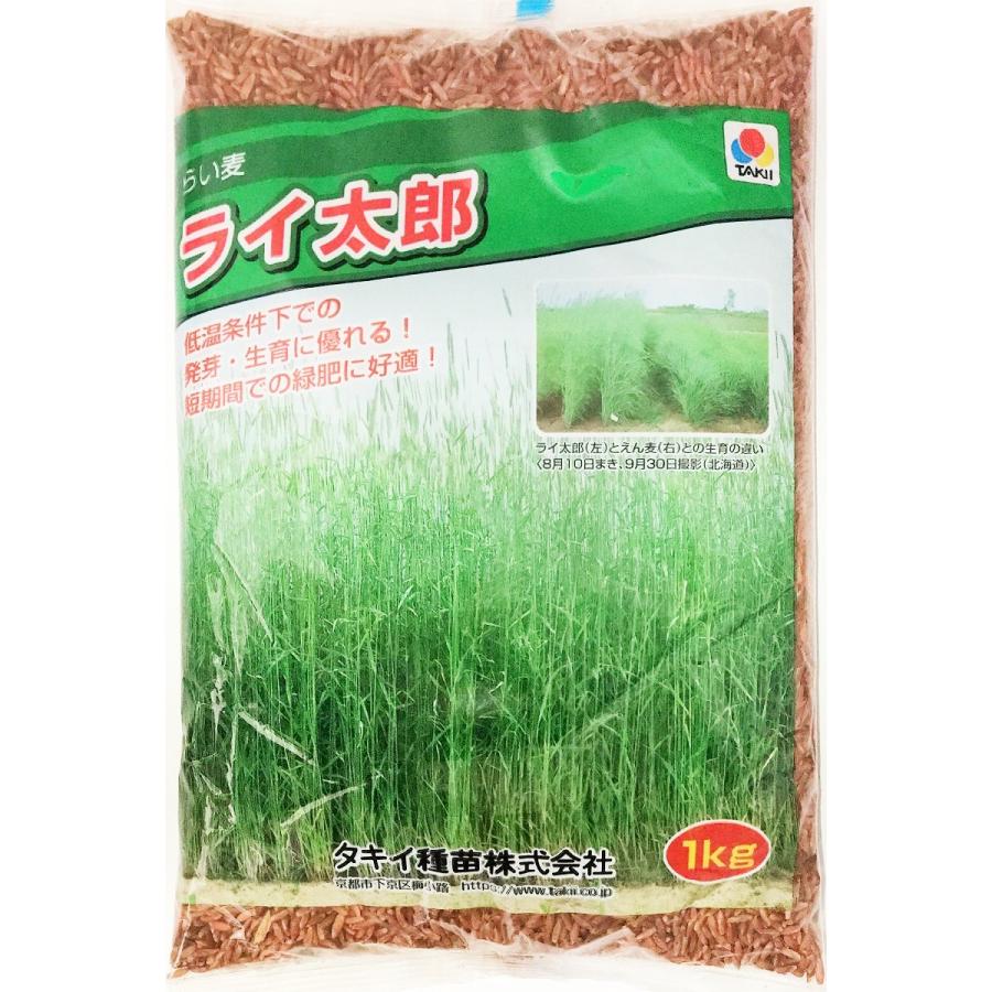 ライ麦　ライ太郎　1kg（タキイ種苗　超極早生ライ麦）土壌中のキタネコブセンチュウを抑制します。緑肥の種｜yohonsha-japan