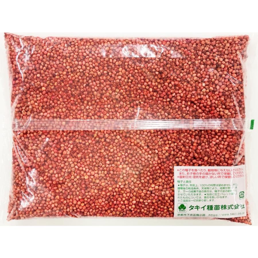 ソルガム種子　品種名：グランデソルゴー　1kg　タキイ種苗　緑肥の種｜yohonsha-japan｜02