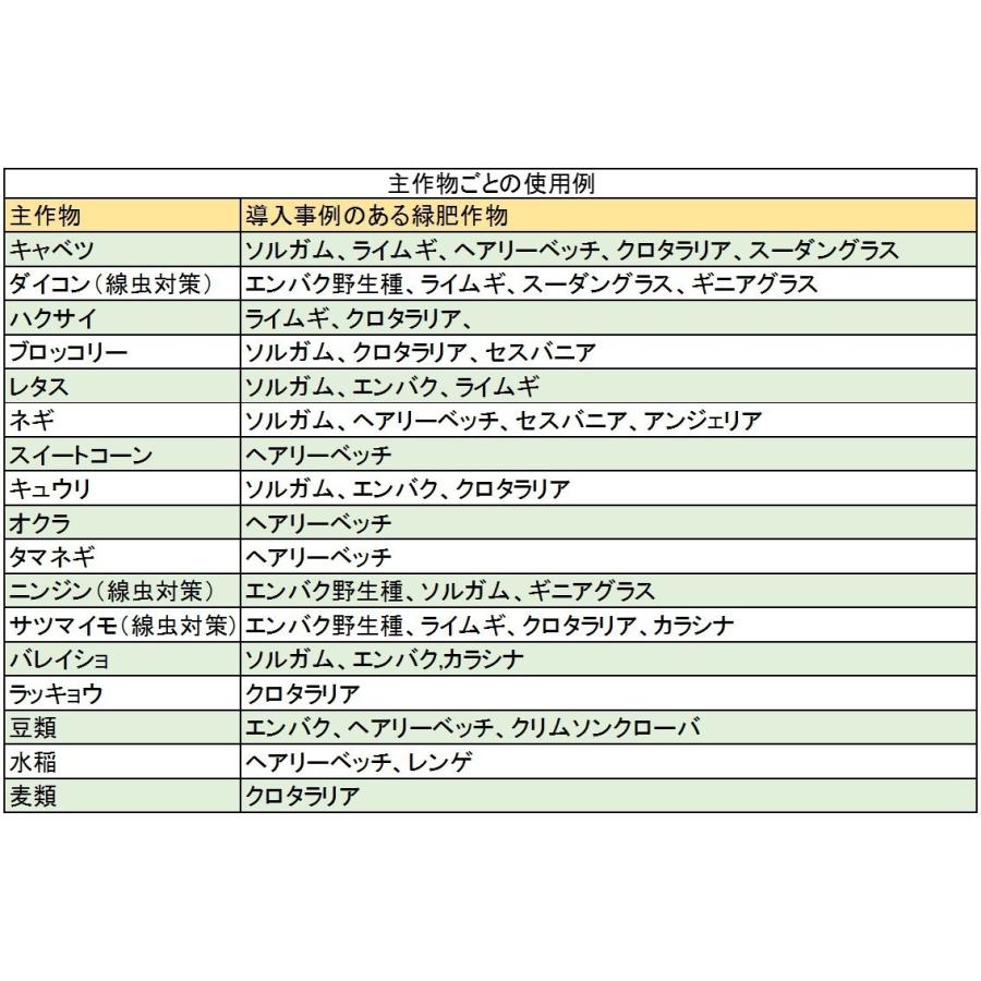 ソルガム種子　品種名：やわらか矮性ソルゴー　20kg原袋　タキイ種苗　緑肥の種｜yohonsha-japan｜04