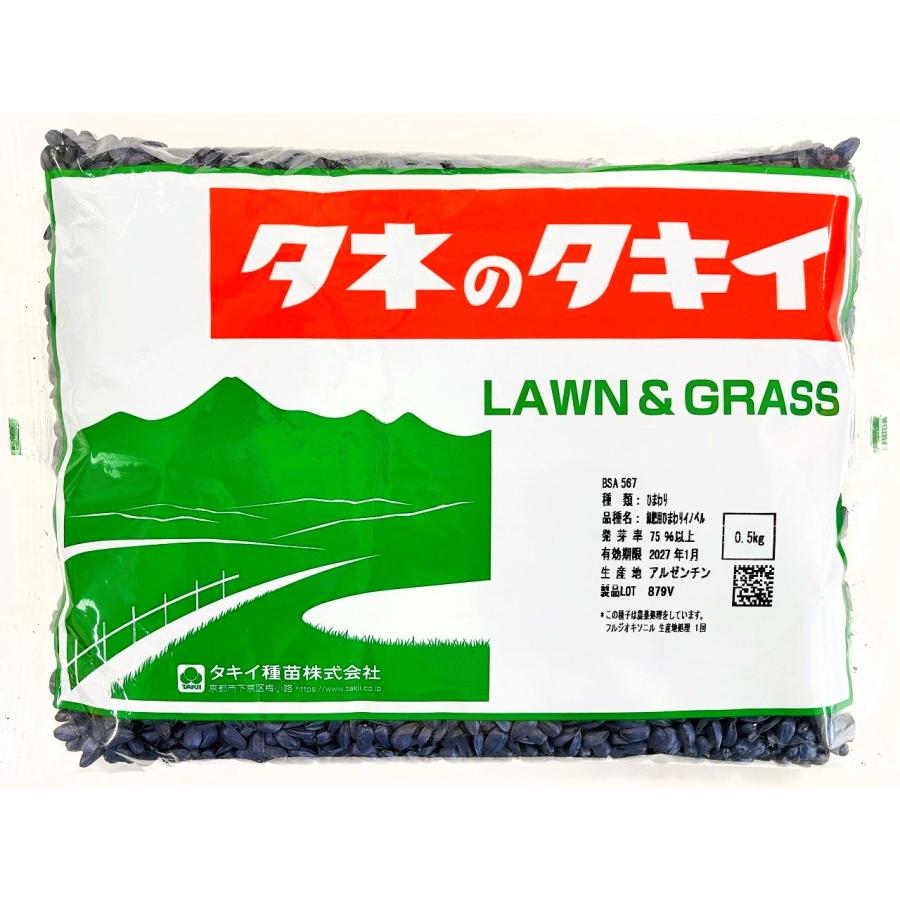 ひまわり種子　品種：緑肥用ひまわり　イノベル　500g　タキイ種苗（Yahoo!・タネの問屋さん養本社）