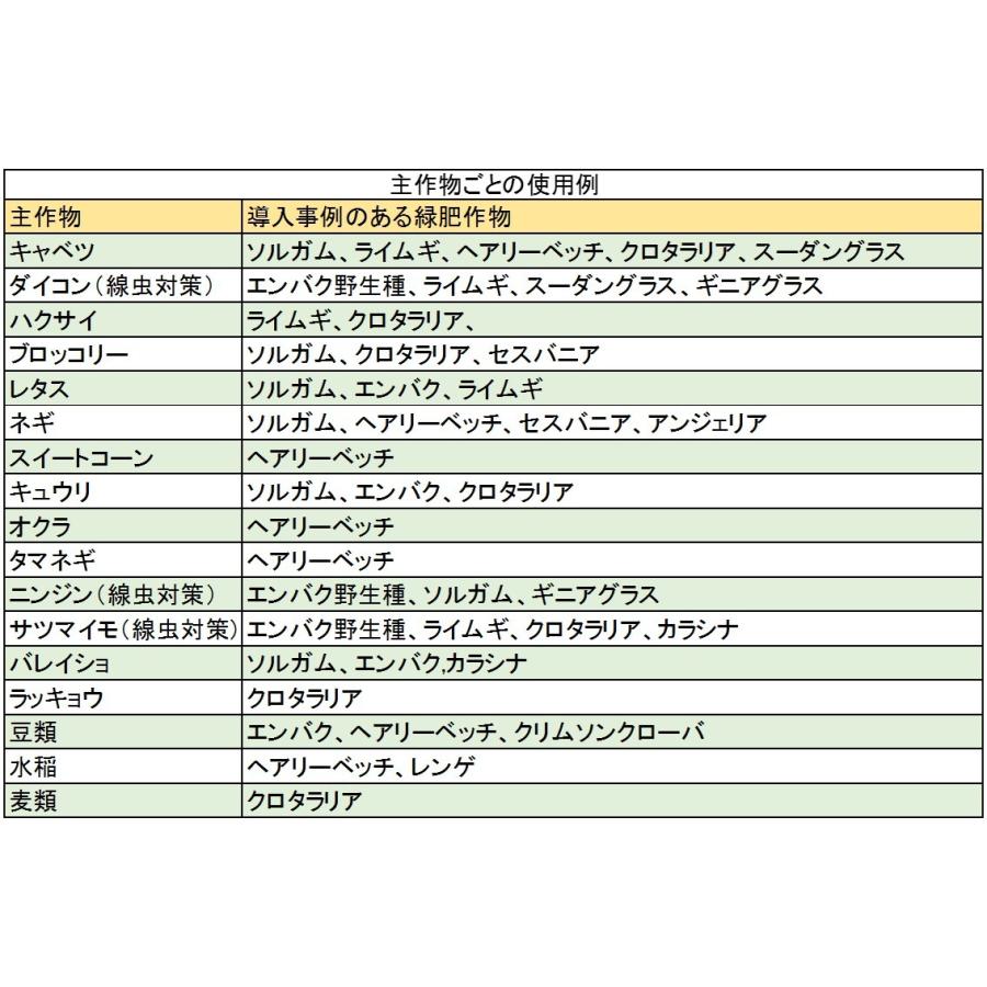 【アウトレット品】ライムギ種子　緑春II　1kg【2023年5月有効期限のため】雪印種苗　緑肥物語　緑肥の種｜yohonsha-japan｜03