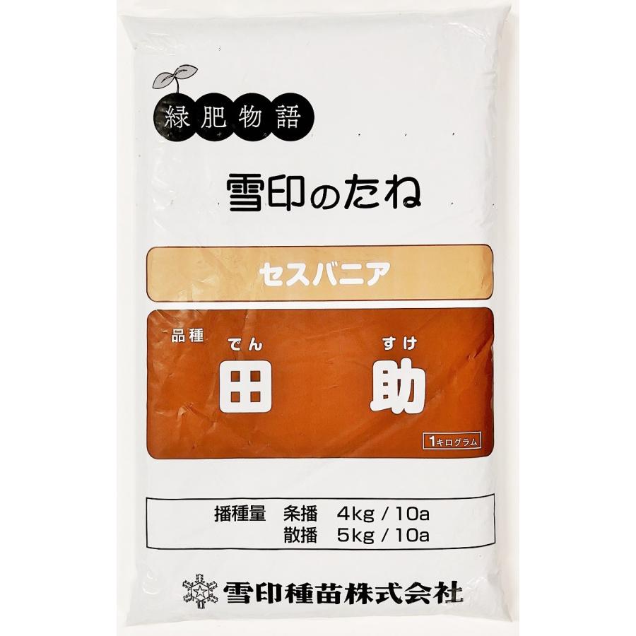 セスバニア 品種名：田助 1kg 雪印種苗 : タネの問屋さん養本社 - 通販