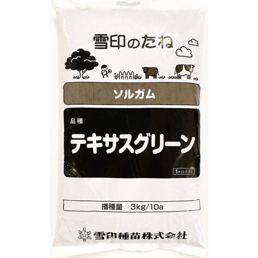 ソルガム種子 品種名：テキサスグリーン 20kg原袋（1kg×20袋） 雪印種苗　緑肥用（Yahoo!・タネの問屋さん養本社）