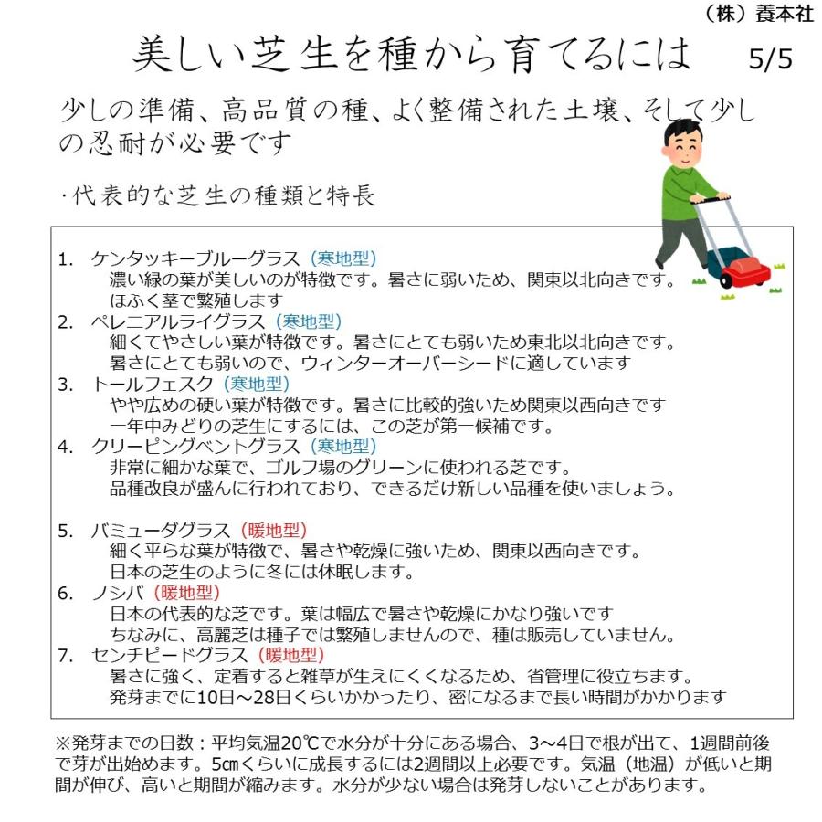 センチピードグラス種子　1kg　紅大貿易　芝の種