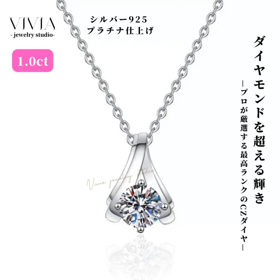 vivia2025wzxl003
