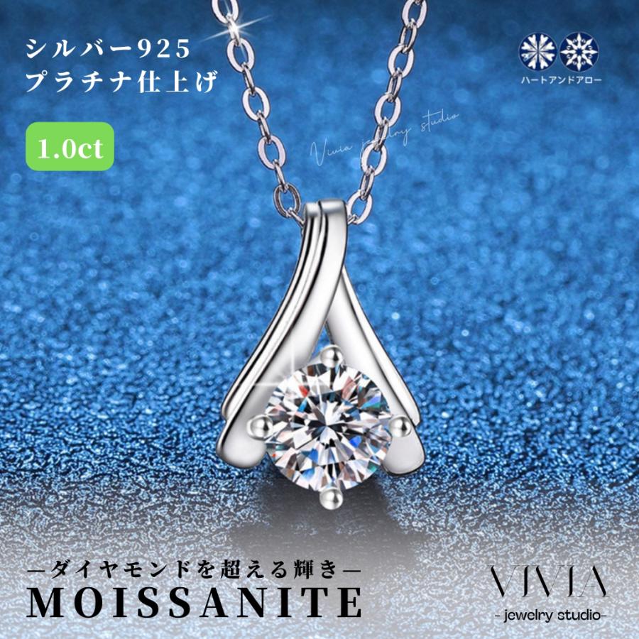 vivia2025wzxl003b