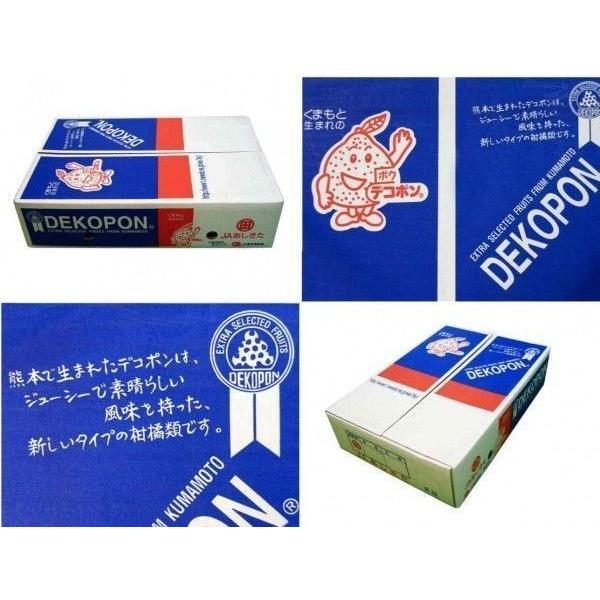 ja熊本果実連 デコポン 18〜24玉 約5kg 低温貯蔵 かんきつ類 贈答用 送料無料 訳あり品ではございません｜yoimono-bank-store｜05