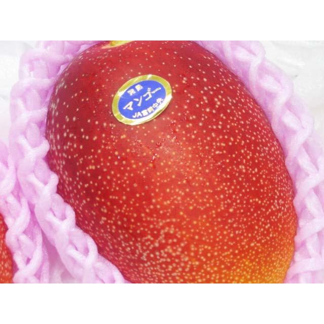 みやざきマンゴー 宮崎産 高級品 特大玉 4l6個 化粧箱 送料無料 贈答用 わけあり品ではございません Miyazaki Mango 4l 6tama よいものバンク 通販 Yahoo ショッピング