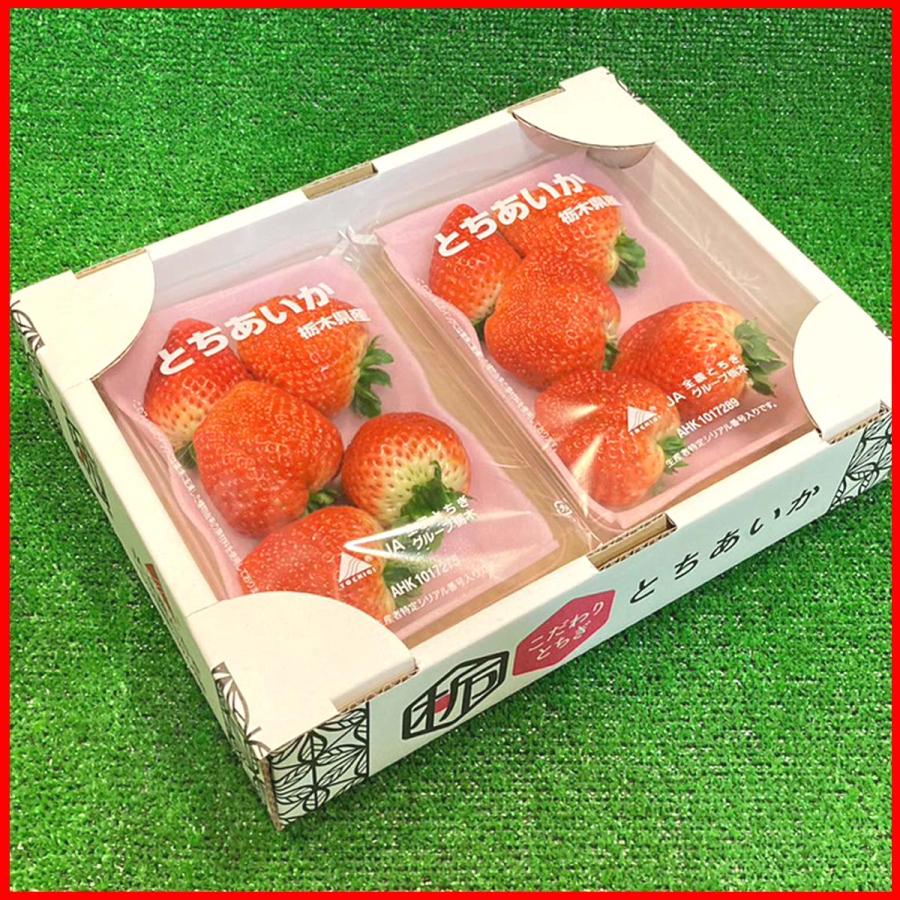 いちご 苺 イチゴ とちあいか 栃木県産 約260〜280g×2パック入り いちご 苺 イチゴ とちあいか 栃木県産 約260〜280g×2パック入り
