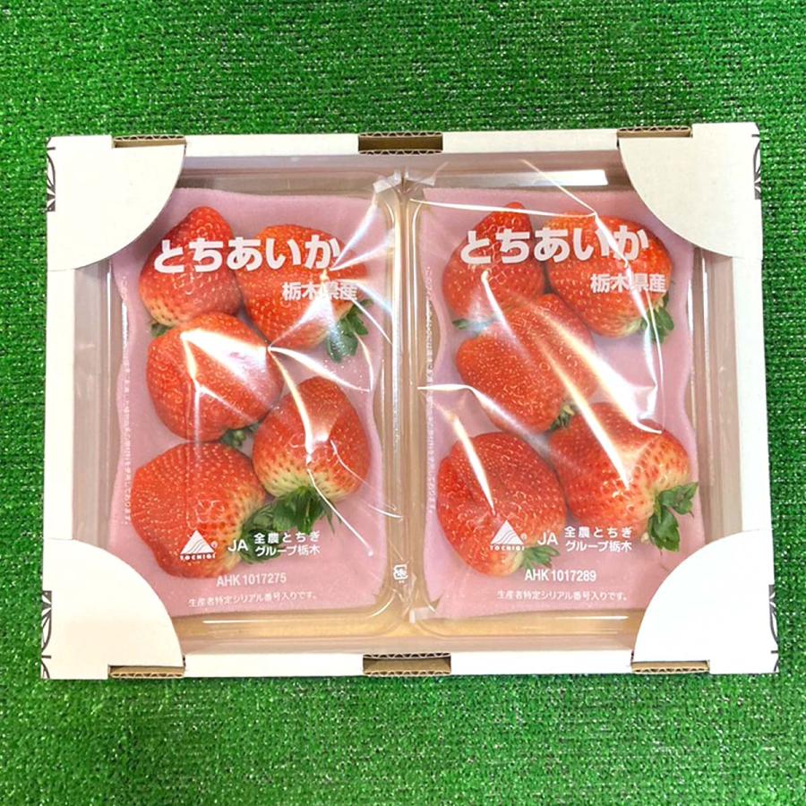 いちご 苺 イチゴ とちあいか 栃木県産 約260〜280g×2パック入り 送料無料 高級果物 贈答用 ギフト ご予約 訳あり品ではございません｜yoimono-bank-store｜04