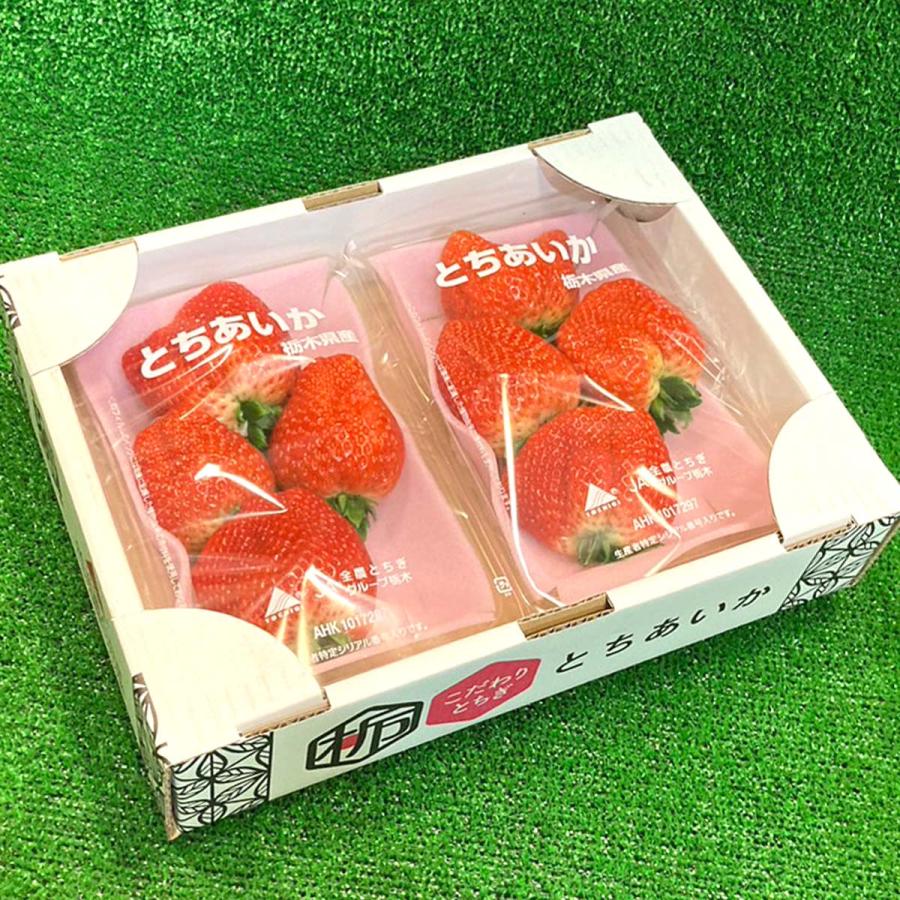 いちご 苺 イチゴ とちあいか 栃木県産 約260〜280g×2パック入り いちご 苺 イチゴ とちあいか 栃木県産 約260〜280g×2パック入り