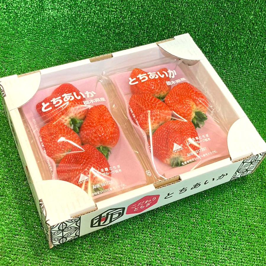 いちご 苺 イチゴ とちあいか 栃木県産 約260〜280g×2パック入り 送料無料 高級果物 贈答用 ギフト ご予約 訳あり品ではございません｜yoimono-bank-store｜05