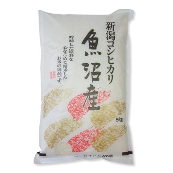 コシヒカリ 令和7年産 魚沼産コシヒカリ 10kg (5kg×2袋) 送料無料(一部