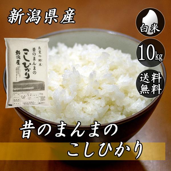 令和7年産 新潟県産 コシヒカリ 昔のまんまのコシヒカリ 10kg (5kg×2袋)  送料無料(一部地域を除く)  白米 | コシヒカリ