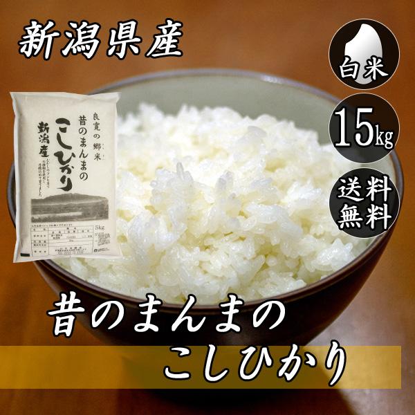 令和7年産 新潟県産 コシヒカリ 昔のまんまのコシヒカリ 15kg (5kg×3袋)  送料無料(一部地域を除く)  白米 | コシヒカリ