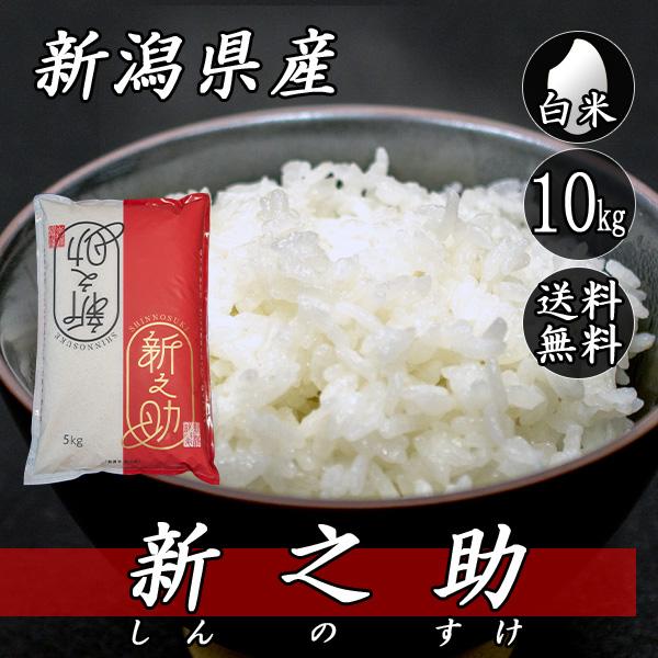 令和7年産　新潟　新之助　白米5キロ2個（5kg×2) 1０キロ　★農家直送 新之助 しんのすけ 令和7年産 新潟産 5kg 送料無料 : 新潟米 早川米穀