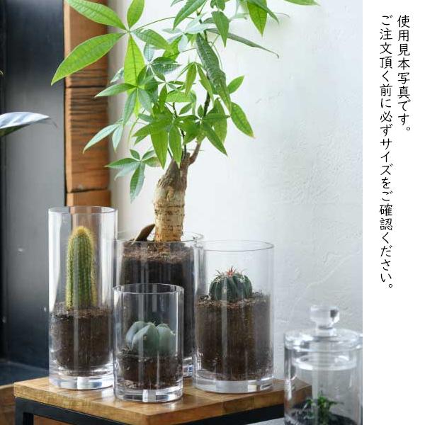 フラワーベース 花瓶 おしゃれ 割れない ガラス φ20×H50 PVシリンダー