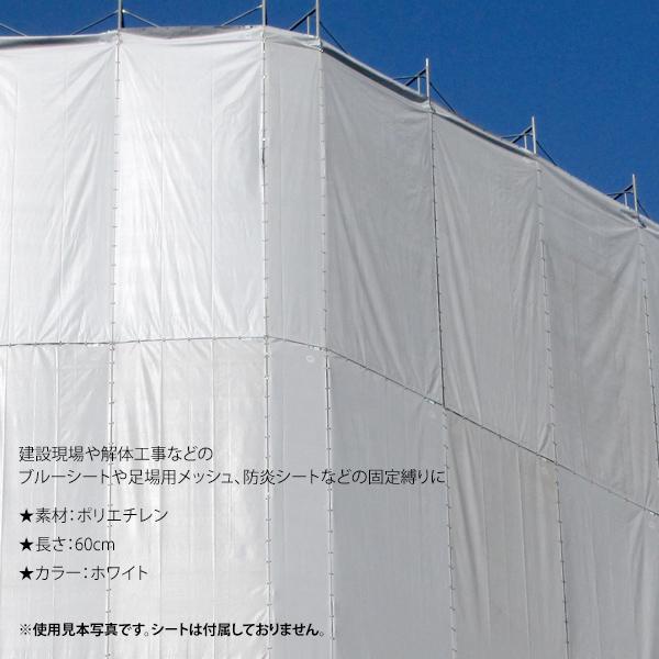 シート紐 60cm シートひも シート用紐 白 足場 紐 5000本 : 養生ボード 