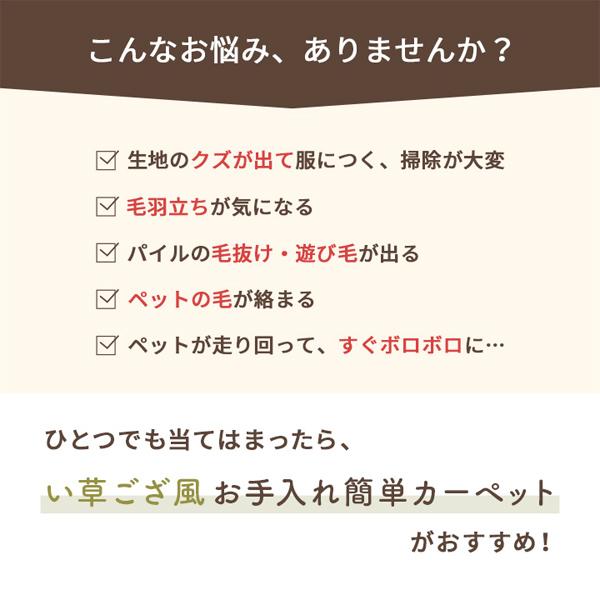 江戸間1畳 87×174cm ミーサ イケヒコ 洗える ござ PP製 い草ではない 日本製 国産 カーペット ラグ 敷物｜yojo-board-shop｜05