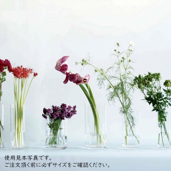 フラワーベース 花瓶 おしゃれ 割れない ガラス 15×H50 PV角柱 ホワイエ 大きいサイズ 高い 高さがある｜yojo-shizai-ya｜08