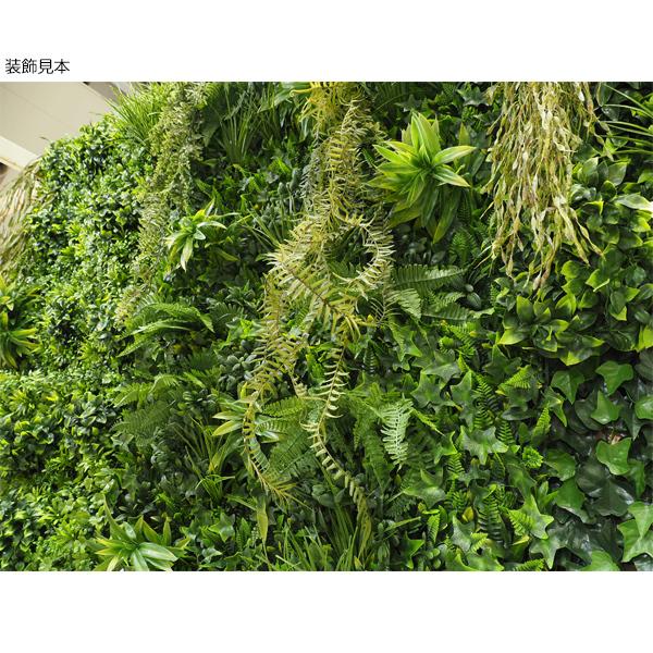 フェイクグリーンの壁掛★大型★1m✕1m★中古 フェイクグリーン 壁掛け 大型 大きい ジャングルアイビー 1×1m 連結