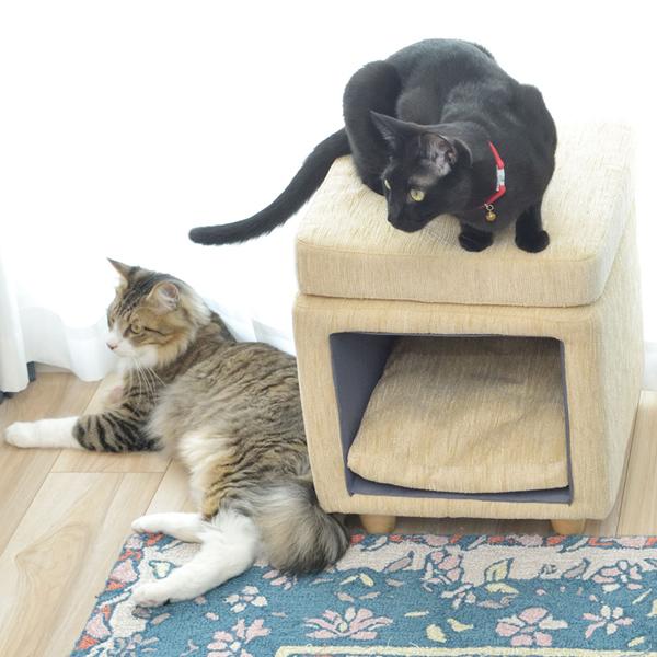 W35×D35×H41 ペットスツール 四角 PET-62 ペットハウス 小屋 犬 いぬ イヌ 猫 ねこ ペットベッド クッション付き ペットマット