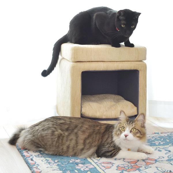 W35×D35×H41 ペットスツール 四角 PET-62 ペットハウス 小屋 犬 いぬ イヌ 猫 ねこ ペットベッド クッション付き ペットマット